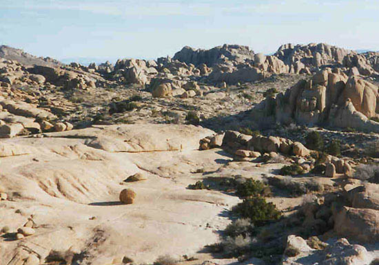 Nrodn park Joshua Tree - California, USA 