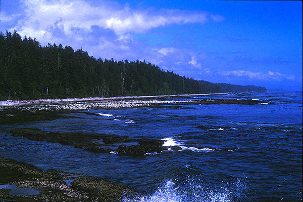 MICHIGAN BAY