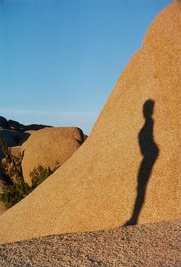 Joshua Tree National Park - zima 2000 - "Co lze nalzt na mstnm monzonitu pi zpadu slunce"